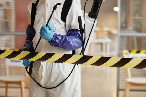 Professional Sewage Cleanup technician working in Whitelaw, WI